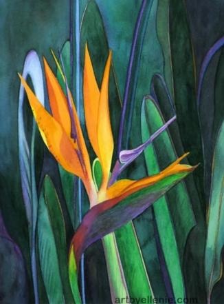 Bird of paradise artwork