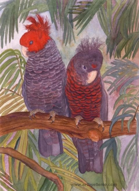 Two grey parrots artwork